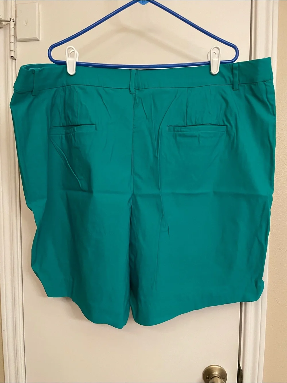 NEW Lane Bryant Shorts